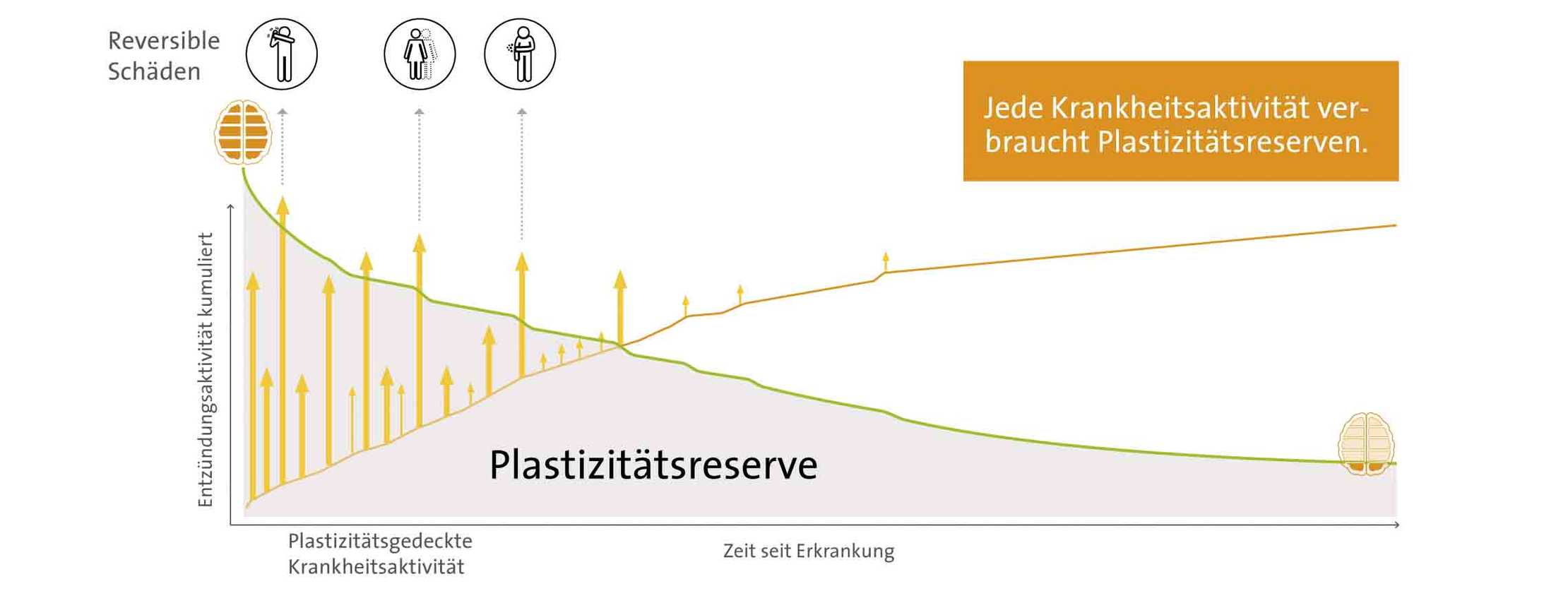 MS und ich: Die Infografik zeigt die Plastizitätsreserven MS und ich: Die Infografik zeigt die Plastizitätsreserven