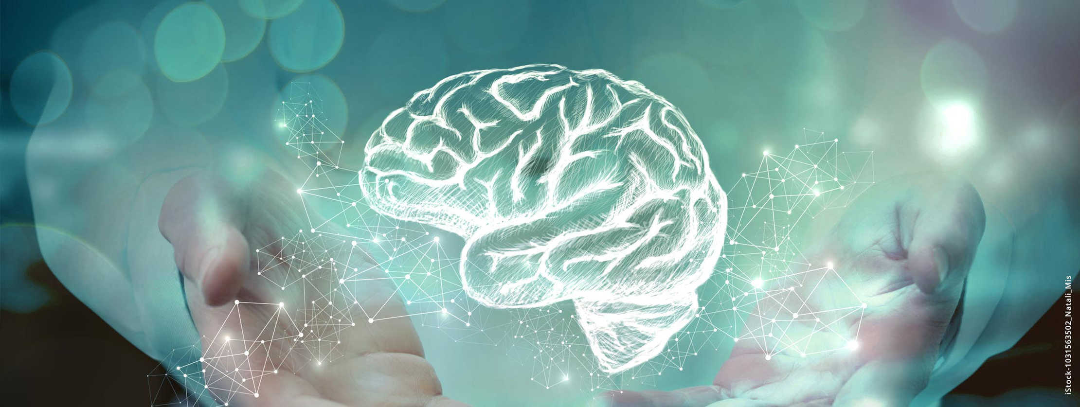 MS & ich: Eine Hand hält eine visuelle Darstellung eines Gehirns MS & ich: Eine Hand hält eine visuelle Darstellung eines Gehirns