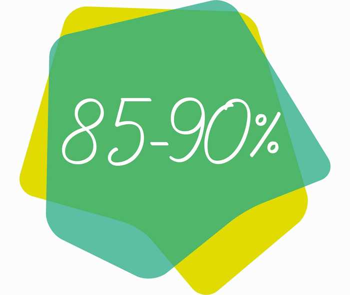 MS & ich: Icon 85 – 90 % MS & ich: Icon 85 – 90 %