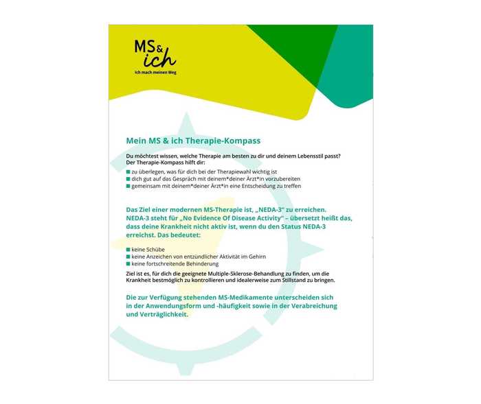 Teaserbild MS & ich Decision-Guides Screenshot des Titelblattes des MS & ich Decision-Guides